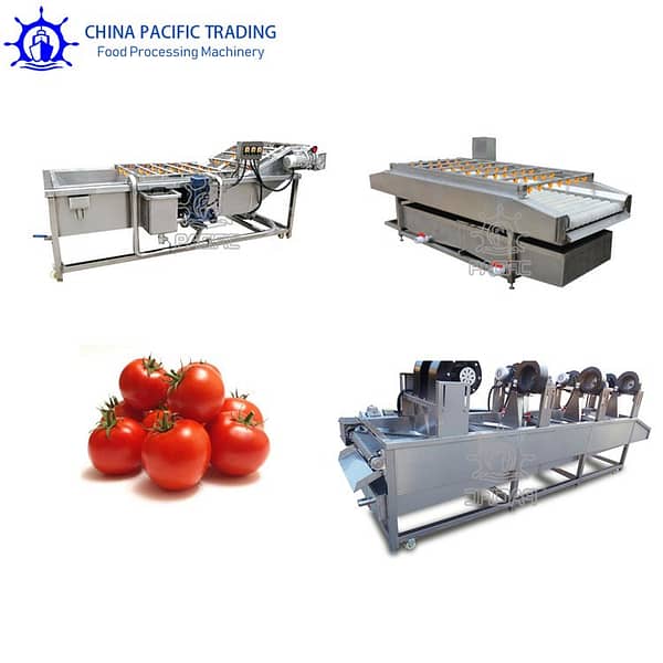 Vegetable Washing and Drying Machine Product Images